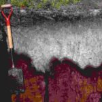 Soil profile exposing distinct horizons beside a field shovel